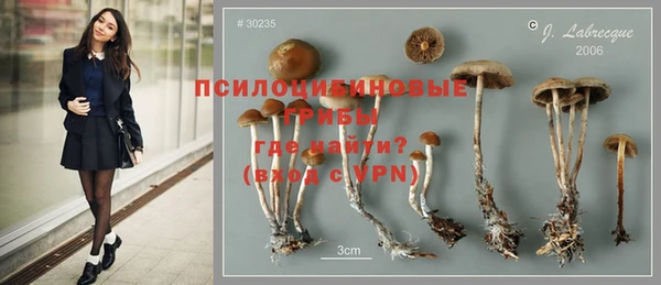 прущие грибы Арсеньев