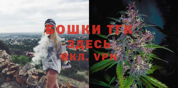 прущие грибы Арсеньев