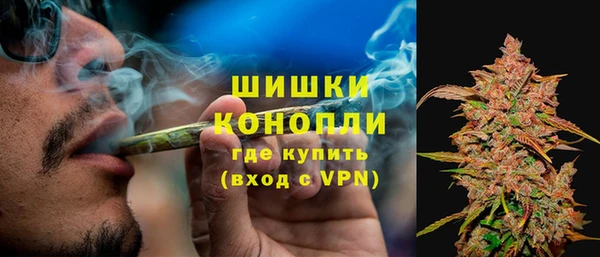 прущие грибы Арсеньев